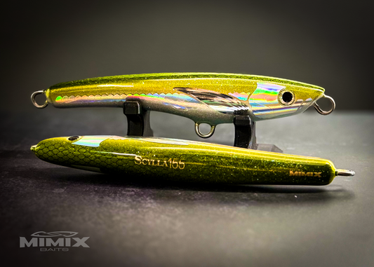 Scylla 155 (ALBERTO OLIVE)